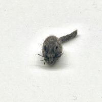 Filzmaus Dunkelgrau meliert, Größe S